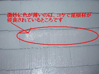 高圧洗浄_f0031037_1826962.jpg