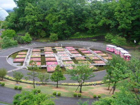 花と新緑の山陰路_b0096638_17421056.jpg