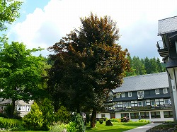 c0153740_0162240.jpg