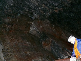 c0153740_0204285.jpg