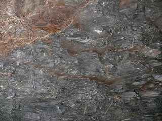 c0153740_0254914.jpg