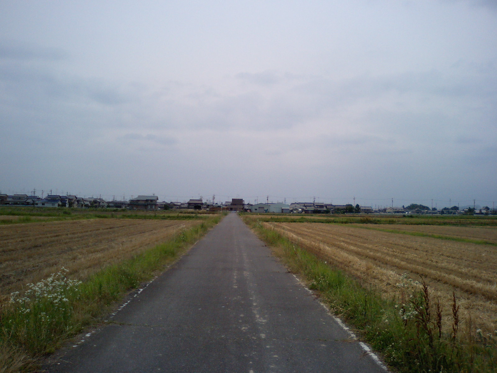 a0012449_7273415.jpg