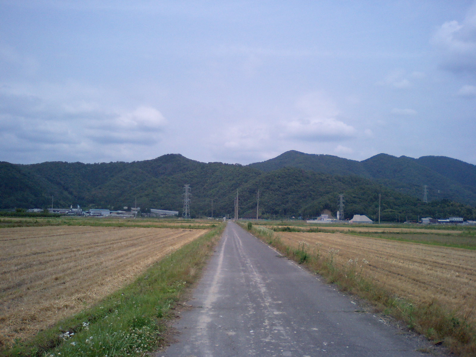 a0012449_727732.jpg