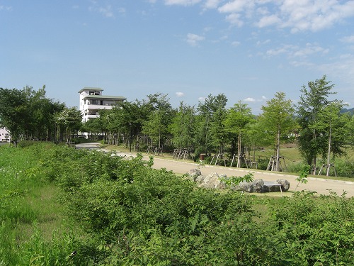 休日明けの八色の森公園の風_a0084753_16331140.jpg