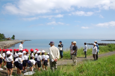 箱作小学校2年学習サポート…箱作自然海岸(西浜)_c0108460_1656195.jpg