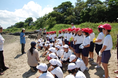箱作小学校2年学習サポート…箱作自然海岸(西浜)_c0108460_16573080.jpg