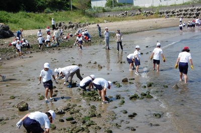 箱作小学校2年学習サポート…箱作自然海岸(西浜)_c0108460_1659207.jpg