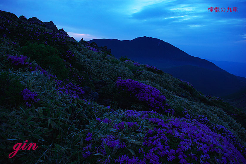 6月14日　三俣山朝駆け_f0173067_1191634.jpg