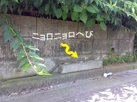 d0087675_23504984.gif