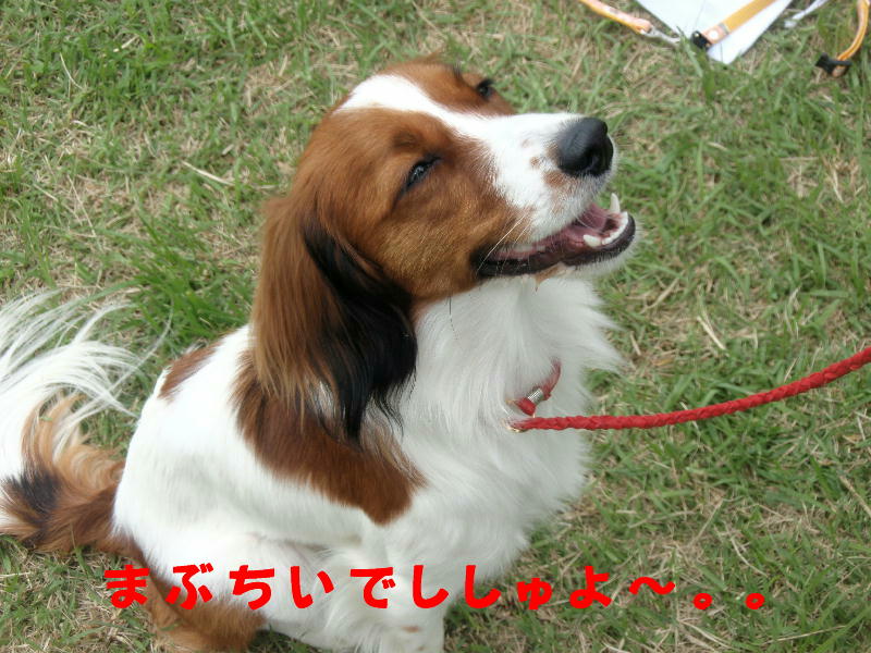 c0075585_1505379.jpg
