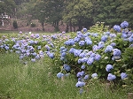 大宰府へ_b0078006_9194022.jpg