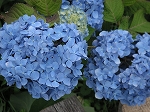 大宰府へ_b0078006_9204194.jpg