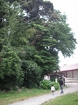 大宰府へ_b0078006_9241915.jpg