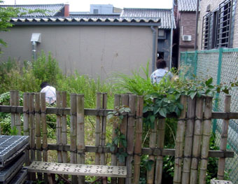 b0062607_93754.jpg