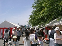 e0093407_94083.jpg