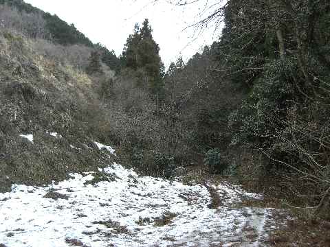 物見山（嵐山町遠山）・西尾根_c0051112_11221181.jpg