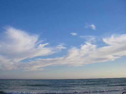 f0133814_8174186.jpg
