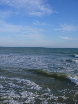 f0133814_8291783.jpg
