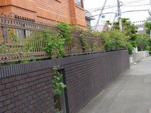 f0170524_16514651.jpg