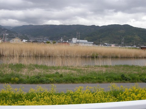 日帰り入浴 長野県 諏訪湖畔 片倉館 上諏訪温泉 なっちゃんのダイニング 日帰り入浴 長野県 諏訪湖畔 片倉館 上諏訪温泉 なっちゃんのダイニング
