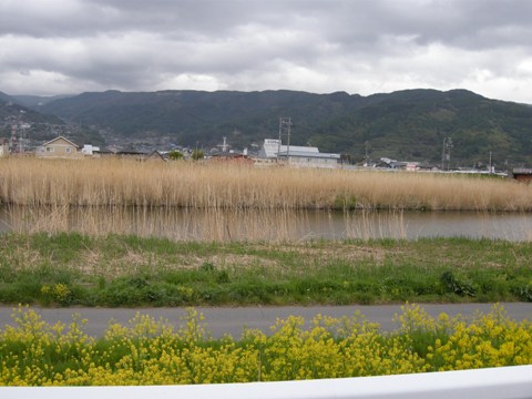 （日帰り入浴）長野県　諏訪湖畔　片倉館（上諏訪温泉？）_c0060927_23352632.jpg