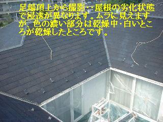 屋根塗装・・浸透性シーラー_f0031037_18333938.jpg