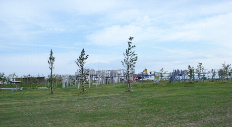 e0060041_1033376.jpg