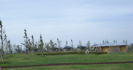e0060041_104140.jpg