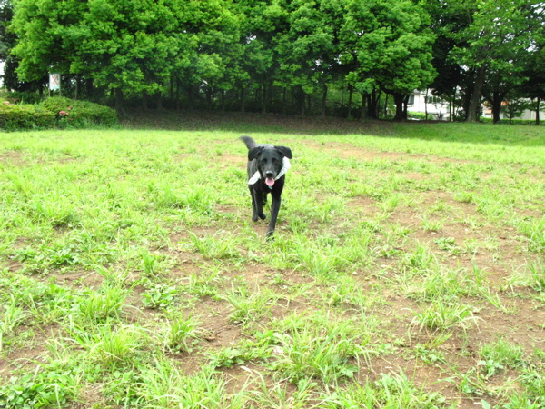 c0039145_22383428.jpg