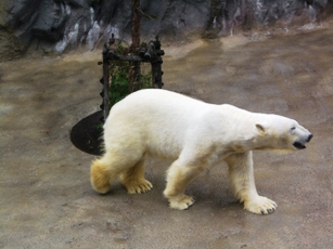 d0036951_26329.jpg