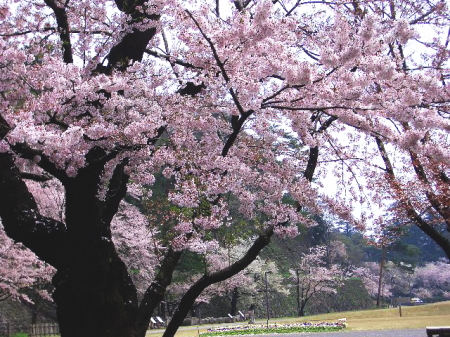 北陸の小京都・金沢_a0090056_15282314.jpg