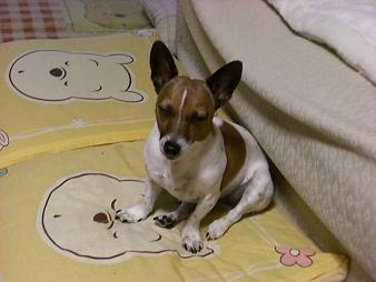 メロン♪_d0134867_1144180.jpg