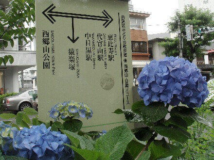 6月12日のおでかけmemo._f0121167_9443145.jpg