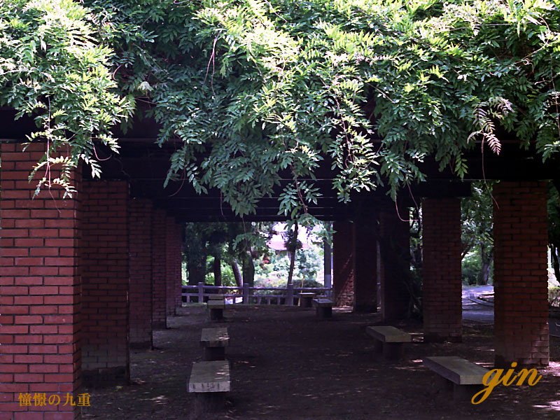 f0173067_14175010.jpg