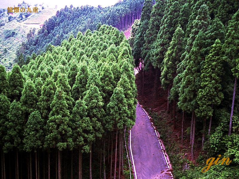 f0173067_148255.jpg