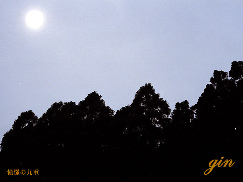 f0173067_1484346.jpg