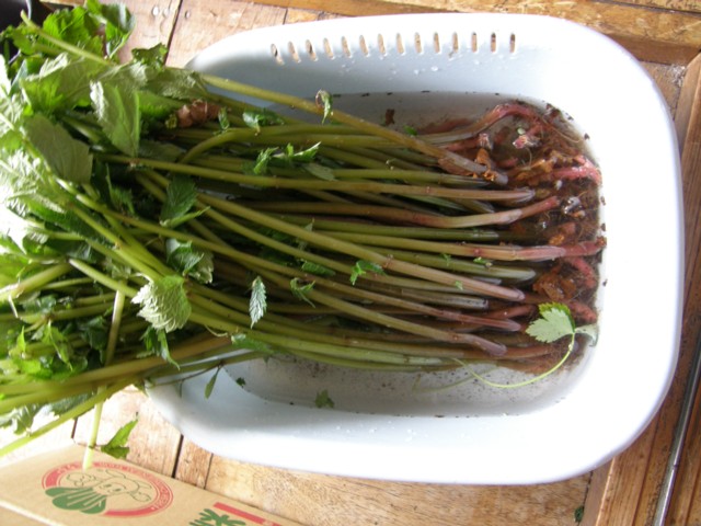 d0134473_14461814.jpg