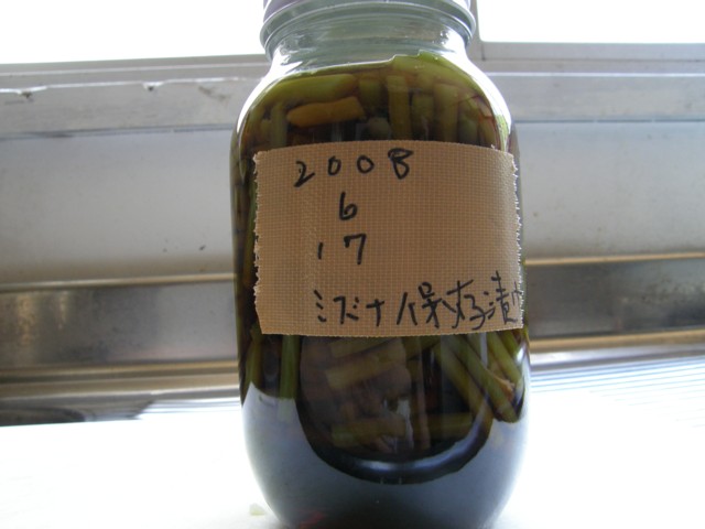 d0134473_1551794.jpg