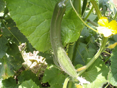 f0130894_21543977.jpg