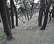 c0135795_10376.jpg