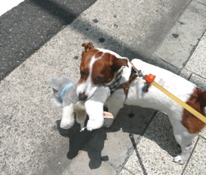 f0146198_13425079.jpg