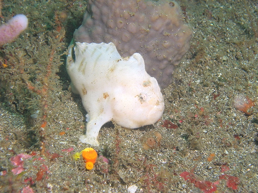 c0072306_0205567.jpg