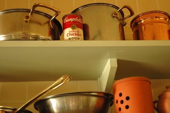 f0000211_20521564.jpg