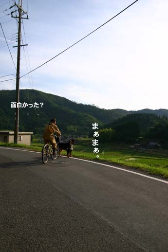 山の道からの帰り道_c0133516_11175872.jpg