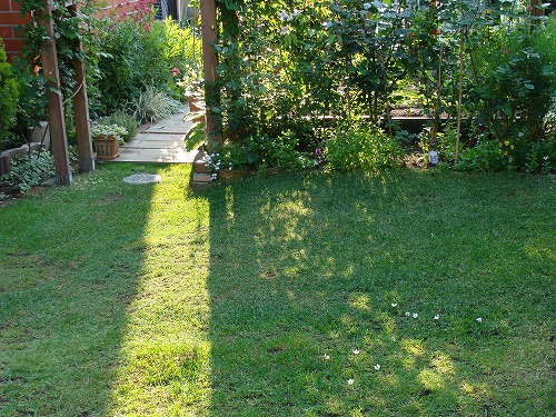 f0170524_1129680.jpg