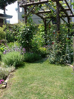 f0170524_11514098.jpg