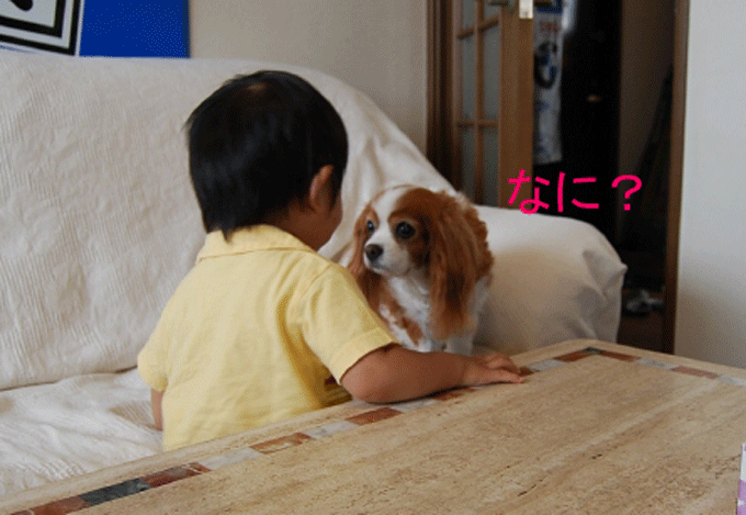 c0136838_14314224.gif