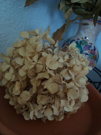 e0120938_737093.jpg