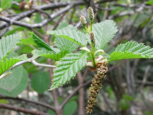 f0003138_847764.jpg