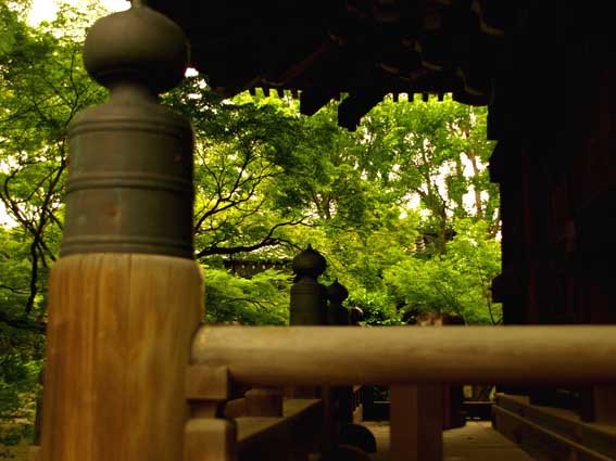 d0149245_2331191.jpg